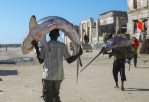 Mogadishu Fish TravPholer
