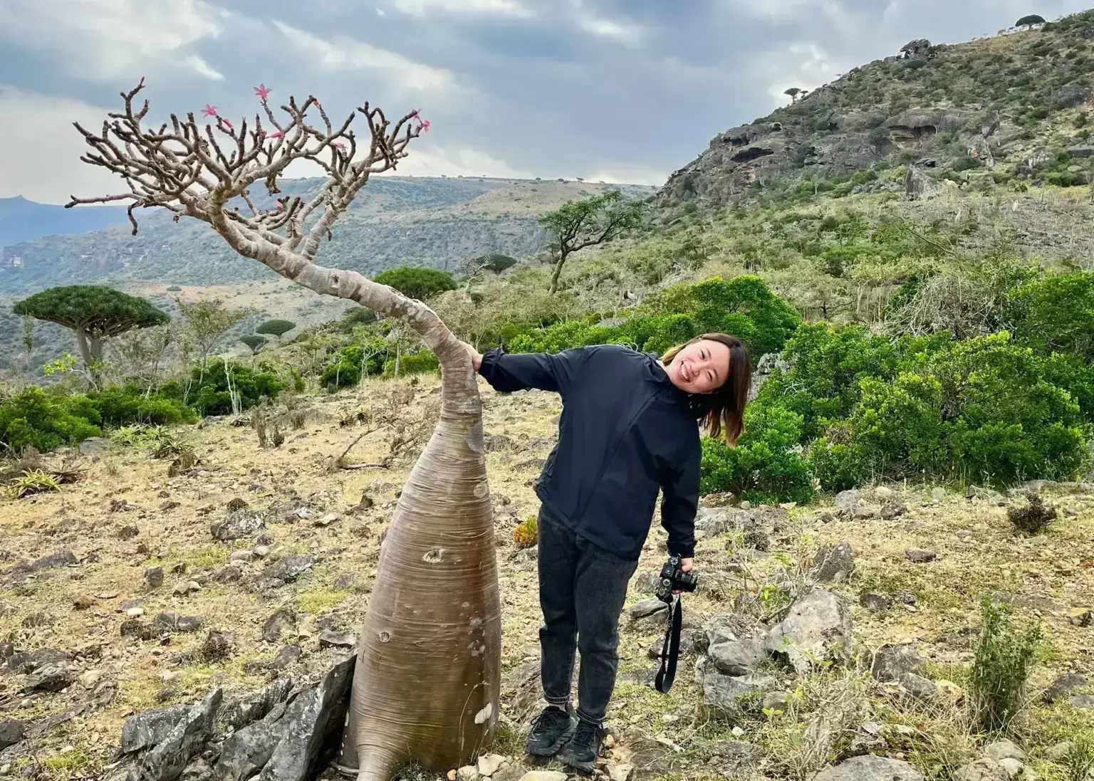 socotra yemen travpholer