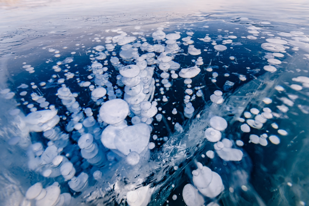 travpholer siberia