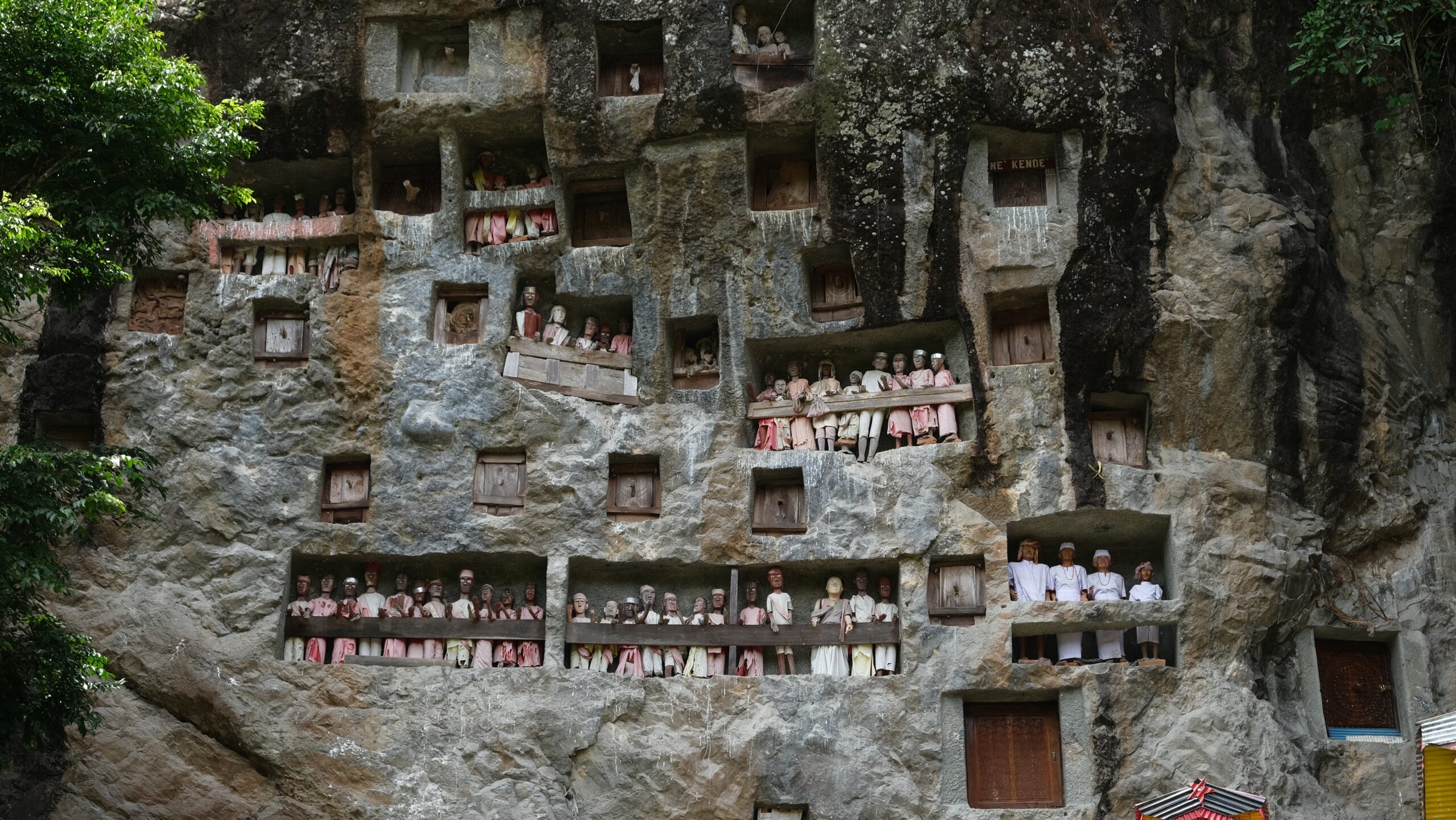 Meet the indigenous people of Socotra