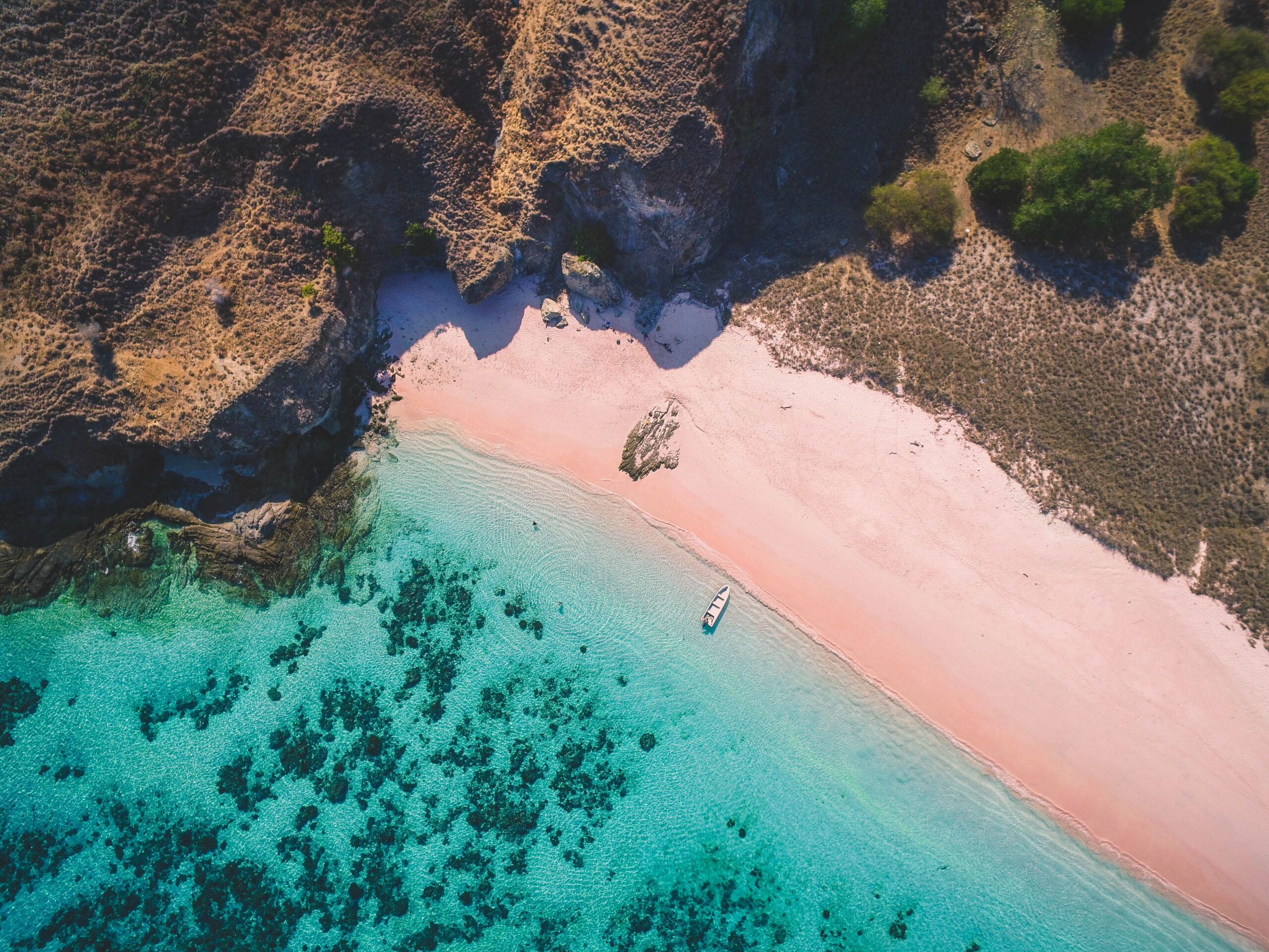 Meet the indigenous people of Socotra