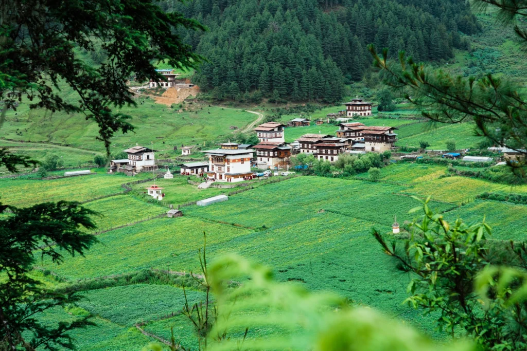 一小片房屋佇立在綠色美麗的普布吉卡山谷