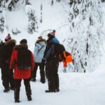 北極野生動物追蹤