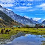 第 2 天:帕哈爾加姆一日遊