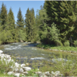 "終點:波德班斯克 "