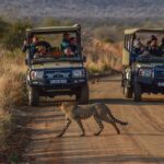 "野生動物教育 "