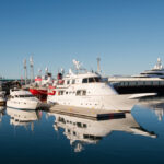 阿米莉亞玫瑰號遊輪