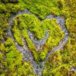 第 3 天:塔羅阿沙丘