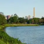 Ibirapuera Park 伊比拉布埃拉公園