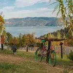 Kapetan Mišin Breg 山坡農莊